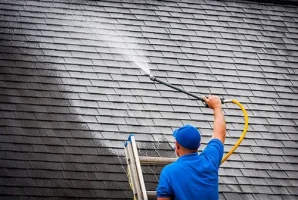 Roof Wash